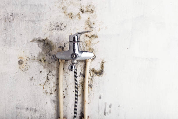Fredericktown, OH Mold Removal Company