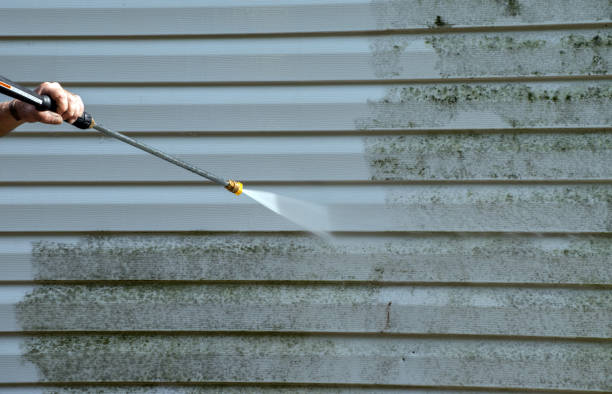 Best Mold Cleaning Services  in Fredericktown, OH