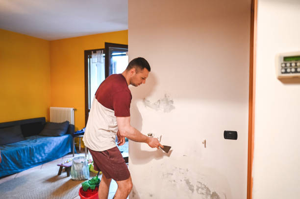 Best Mold Testing and Removal  in Fredericktown, OH