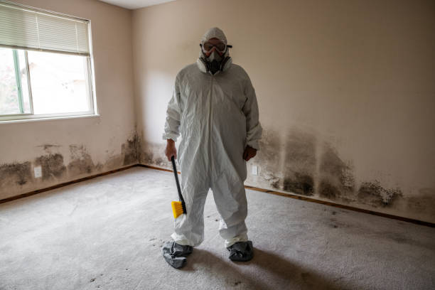 Best Residential Mold Removal  in Fredericktown, OH